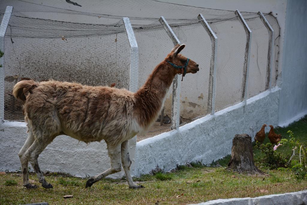 Quilombo Hotel Fazenda União dos Palmares Zewnętrze zdjęcie